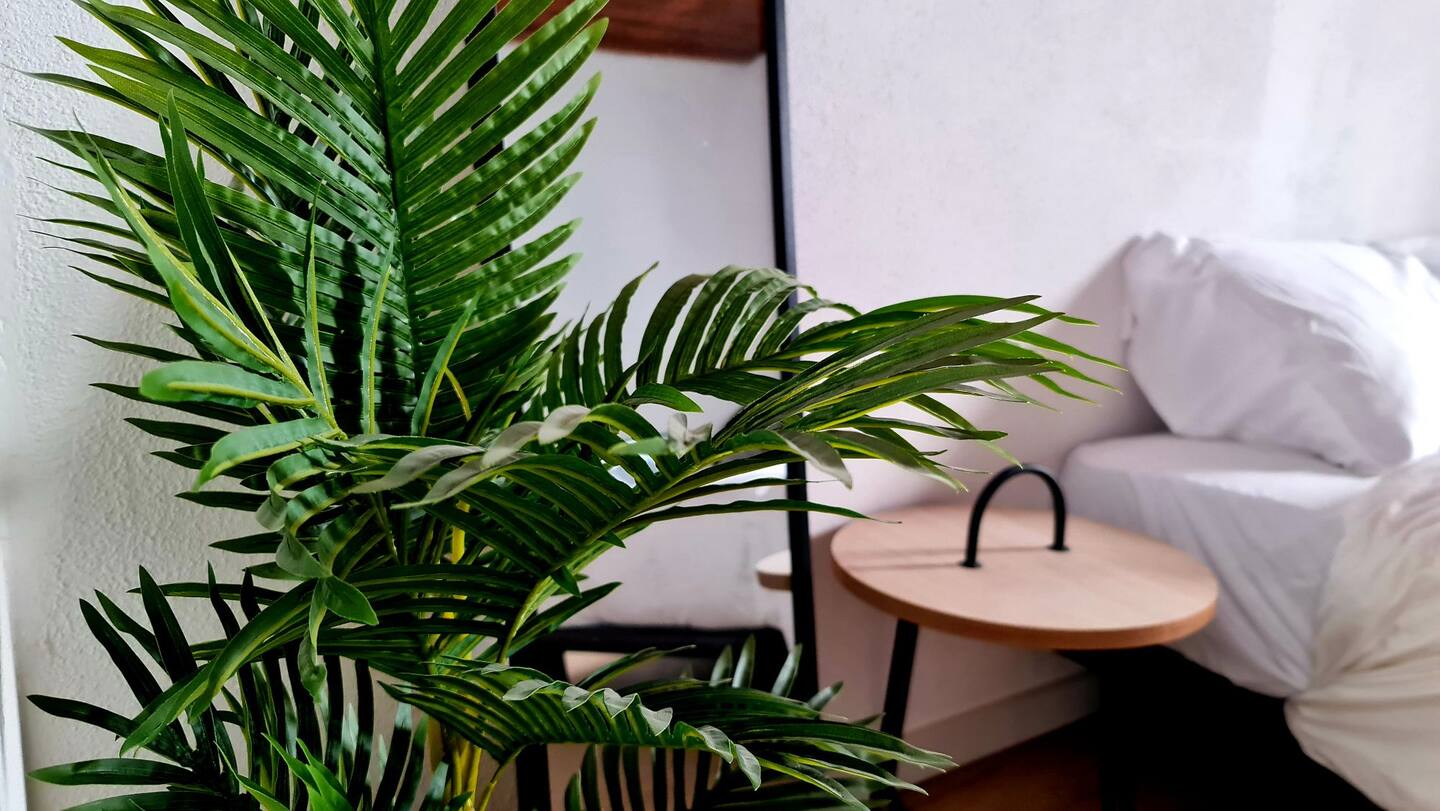 Quarto principal da Lemon House - Ambiente sereno com luz natural e materiais nobres